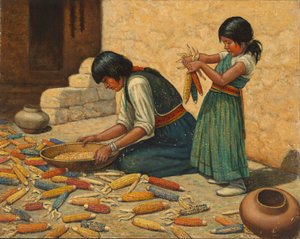 Secado del maíz