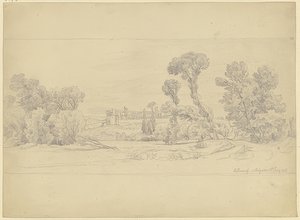 Estudio de árbol en la región de Villeneuve cerca de Aviñón de Carl Morgenstern