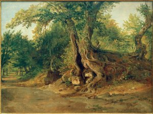 Bosque cerca de Ariccia con encinas de Carl Morgenstern