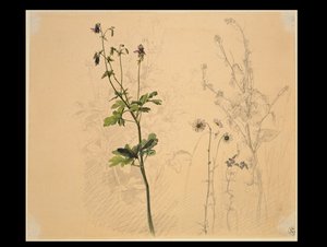  de Carl Philipp Fohr