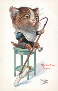 Postal humorística de gatos (litografía en color) de Carl Robert Arthur Thiele