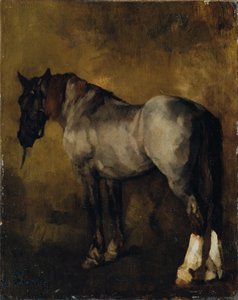estudio de caballos