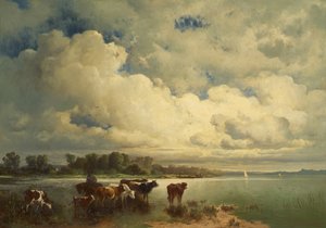 Paisaje de agua con vacas