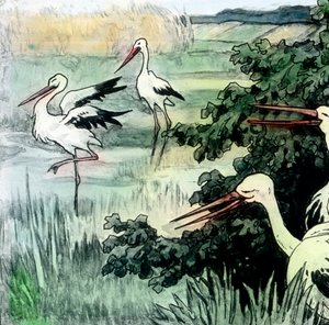 Wilhelm Hauff - Cuentos de hadas - Cigüeña califa. Imagen fechada hacia 1910. Archivo Carl Simon