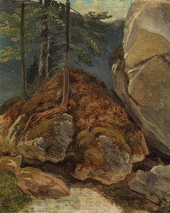 Estudio al óleo con roca cubierta de musgo