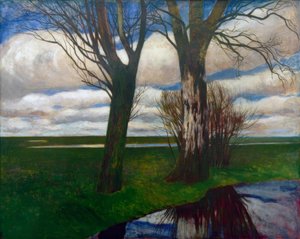 Paisaje de páramo de Carl Vinnen