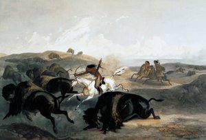 Indios cazando bisontes, 1843 de Carl Vogel