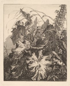 Follaje con juncos de Carl Wilhelm Kolbe