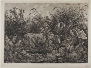 Vaca en un arroyo de Carl Wilhelm Kolbe the elder