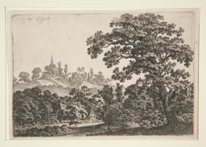 paisaje con molino