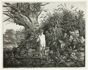 Ninfa en un bosque pantanoso