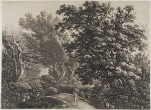 Puente rústico en un bosque enmarañado de Carl Wilhelm Kolbe, the elder