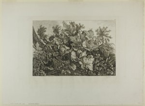 Plantas de pantano de Carl Wilhelm Kolbe, the elder