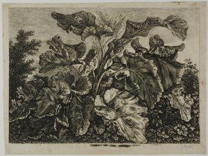 Hoja de vegetales de Carl Wilhelm Kolbe, the elder