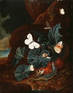 Naturaleza muerta en el suelo del bosque con un lagarto, mariposas, caracol y una serpiente de Carl Wilhelm de Hamilton