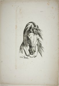 Detalle de la cabeza de caballo, ampliada al triple, Guardia Real Normanda, nº 1 de Carle Vernet