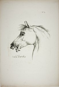 Detalle de la cabeza de caballo, ampliada al triple, Guardia Real Normanda, nº 4 de Carle Vernet