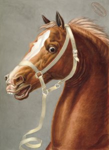 Licole de parade para la caballería de Carle Vernet