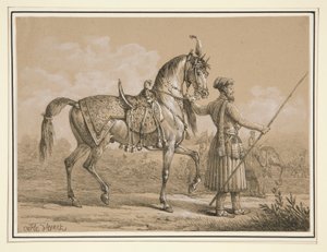Mameluco y caballo árabe