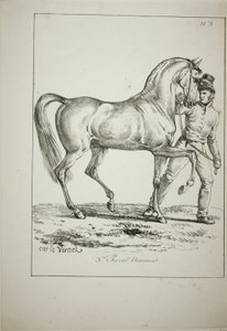 Guardia Real, caballero normando, no en traje completo, y caballo, No. 3 de Carle Vernet