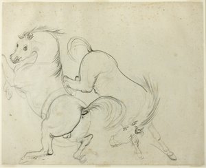 Dos caballos retozando (recto); Hombre en un caballo pateador (verso)