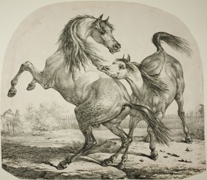 Caballos salvajes luchando de Carle Vernet