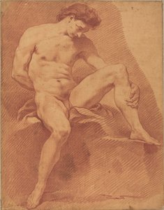 Un Desnudo Masculino Sentado de Carle van Loo