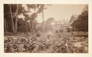 Hotel del Monte, Monterey, jardín de rosas de Carleton E. Watkins