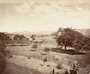 Rancho de Steel, San Luis Obispo, 1876, impreso ca. 1876 de Carleton Emmons Watkins