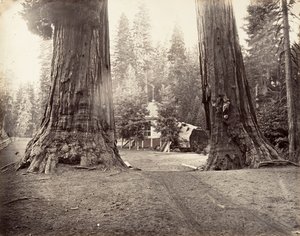 Los Centinelas, 315 pies, Yosemite de Carleton Emmons Watkins