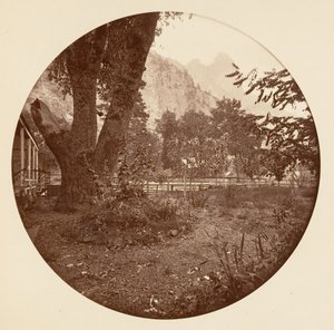 [Parque Nacional de Yosemite, California], ca. 1878 de Carleton Emmons Watkins