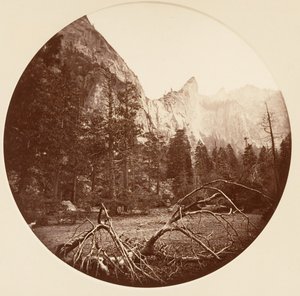 [Parque Nacional Yosemite, California], ca. 1878 de Carleton Emmons Watkins