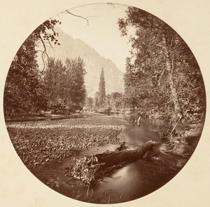 Parque Nacional de Yosemite, California, ca. 1878 de Carleton Emmons Watkins