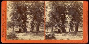 Cabaña en Camp Grove, Valle de Yosemite, Condado de Mariposa, Cal
