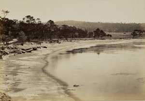 [Vista de la costa cerca de Monterey] de Carleton Watkins