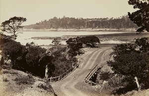 [Vista de la costa cerca de Monterey] de Carleton Watkins