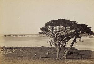  de Carleton Watkins