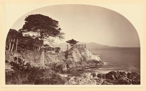  de Carleton Watkins
