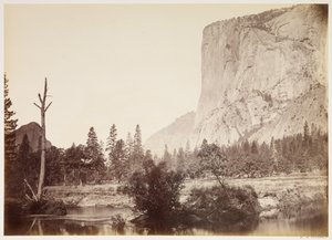  de Carleton Watkins