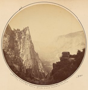  de Carleton Watkins