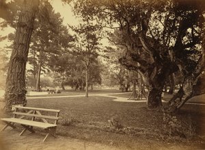 [Monterey, California. Hotel Del Monte, Lawn View]. de Carleton Watkins