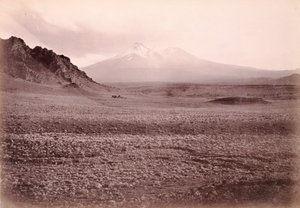 [Monte Shasta]