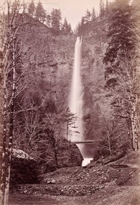  de Carleton Watkins