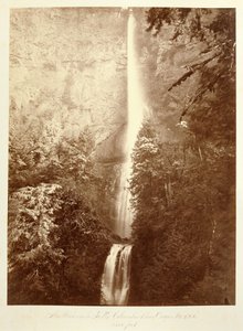  de Carleton Watkins