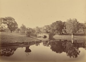  de Carleton Watkins