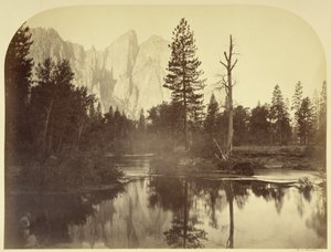  de Carleton Watkins