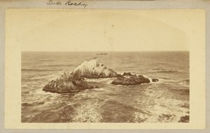 Seal Rocks.