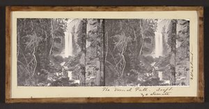 La caída vernal. 300 pies. Yo Semite de Carleton Watkins