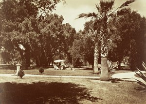 [Thurlow Lodge - Tienda de campaña y grupo familiar] de Carleton Watkins