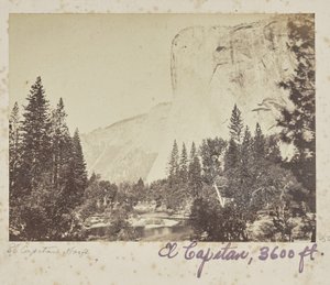  de Carleton Watkins
